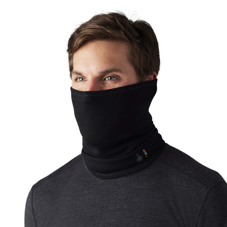 Smartwool Long Cache-cou Smartwool Merino 250 Long Neck Gaiter