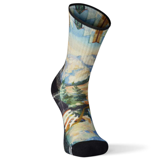Smartwool Smartwool Performance Hike Light Cushion chaussettes imprimées homme
