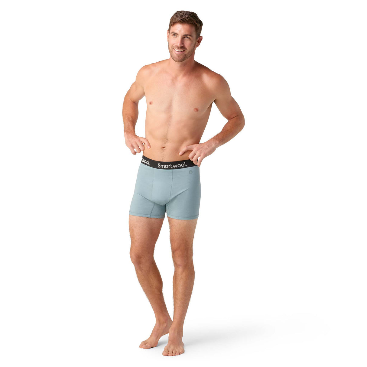 Smartwool Smartwool caleçon boxeur en laine mérinos pour hommes