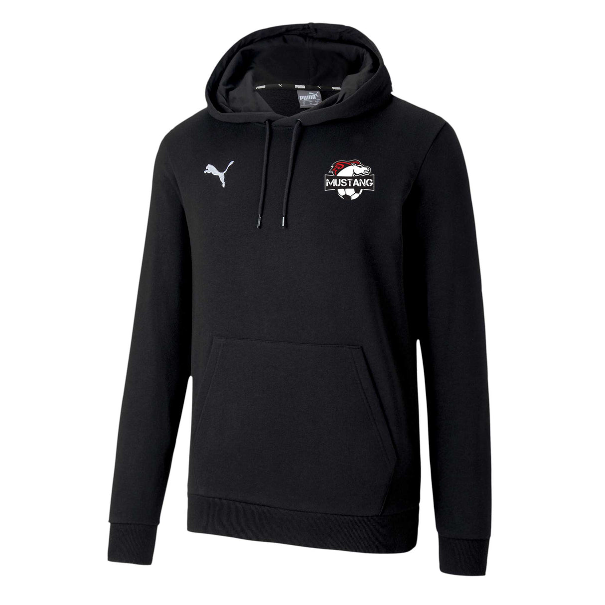Puma teamGOAL 23 Hoodie sweatshirt à capuche Mustang de Pont-Rouge - Noir (Coach)